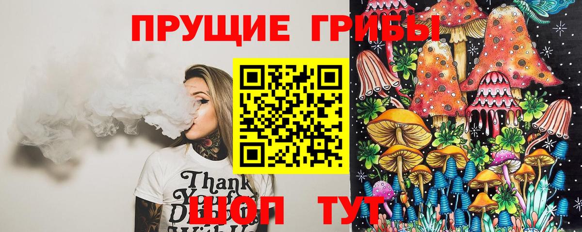 Псилоцибиновые грибы Cubensis Краснодар