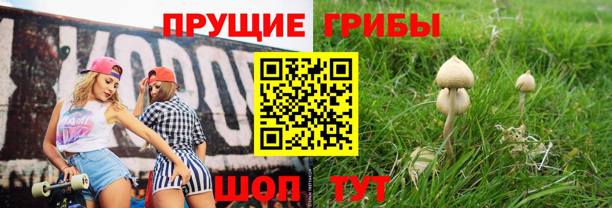 Краснодар  Галлюциногенные грибы GOLDEN TEACHER  Вход с VPN 